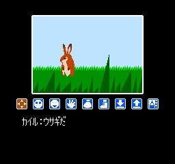 Lipple Island (Japan) In game screenshot